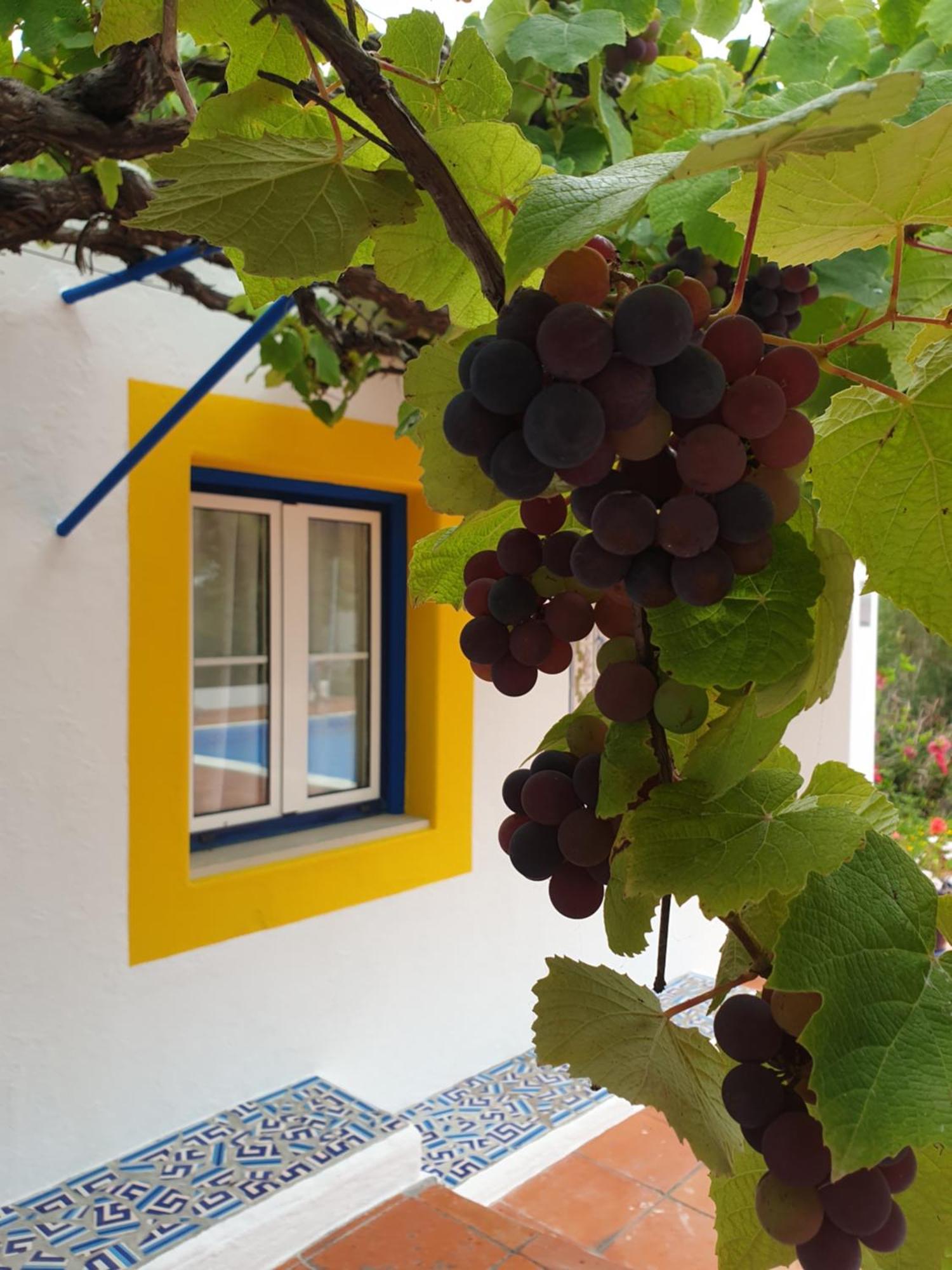 Sondela Self Catering Villa Sao Martinho do Porto Exterior photo